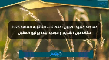 مفاجأة كبيرة: جدول امتحانات الثانوية العامة 2025 للنظامين القديم والجديد يبدأ يونيو المقبل